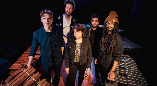 Wood Nymphs | Ben Wendel’s BaRcoDe